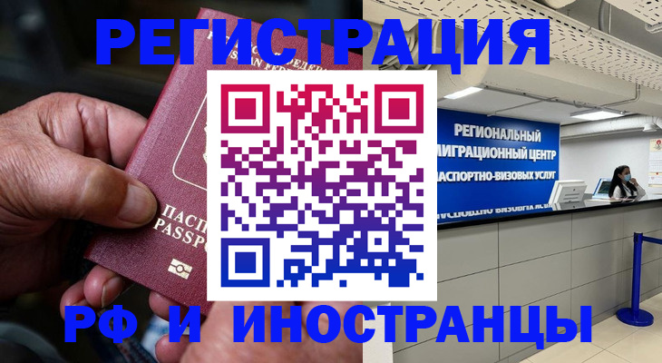 прописка в Мончегорске